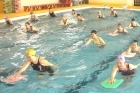 水泳・水中運動