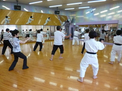 楊名時　八段錦太極拳